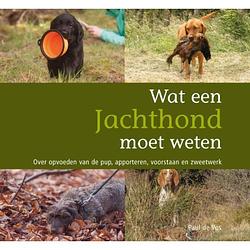 Foto van Wat een jachthond moet weten