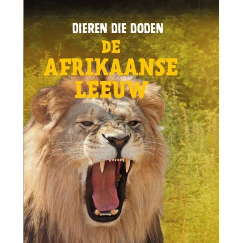 Foto van De afrikaanse leeuw - dieren die doden