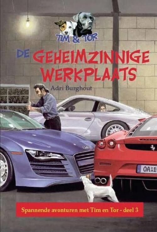 Foto van Geheimzinnige werkplaats - adri burghout - ebook (9789462784994)