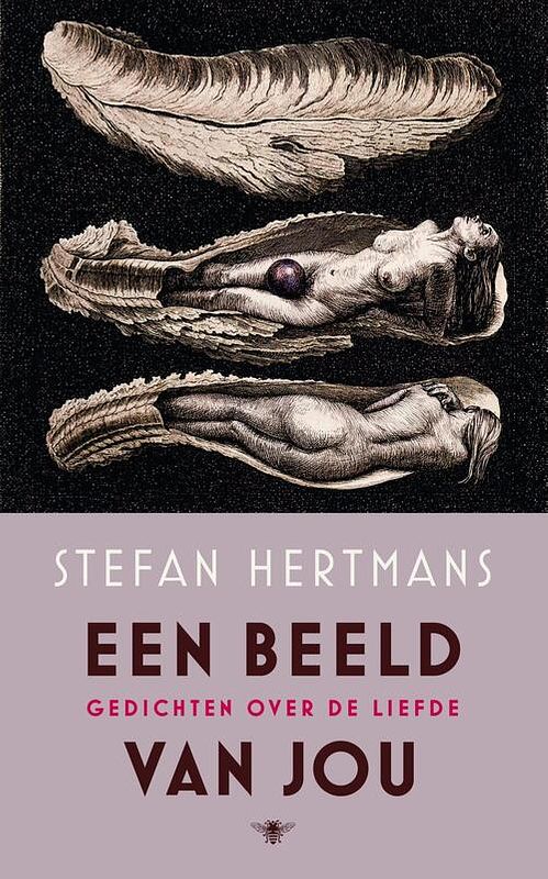 Foto van Een beeld van jou - stefan hertmans - ebook (9789023497479)