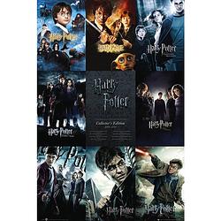 Foto van Gbeye harry potter collection deco panel 60x90cm