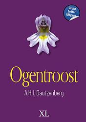 Foto van Ogentroost - grote letter uitgave - a.h.j. dautzenberg - hardcover (9789046314562)
