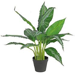 Foto van Non-branded kunstplant dieffenbachia 45 x 70 cm groen