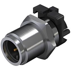 Foto van Weidmüller 2422640000 sensor/actuator steekconnector m12 aantal polen: 5 stekker, inbouw verticaal 10 stuk(s)