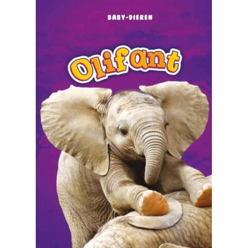 Foto van Olifant - baby-dieren