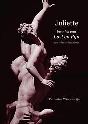 Foto van Juliette, kroniek van lust en pijn - catharina windemeijer - ebook (9789493280458)
