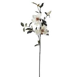 Foto van Kunstbloem magnolia branch - crème - 90 cm - leen bakker