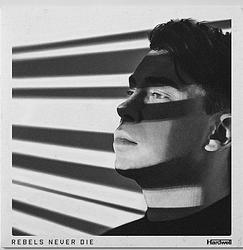 Foto van Rebels never die - cd (8718403114256)