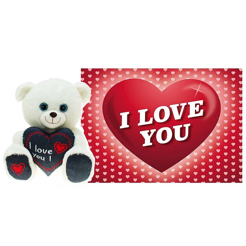 Foto van Pluche knuffel valentijn i love you beertje 25cm met hartjes wenskaart - knuffelberen