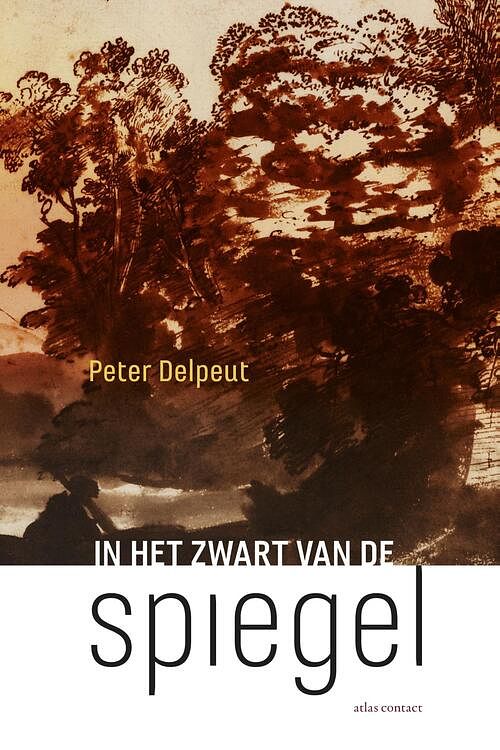 Foto van In het zwart van de spiegel - peter delpeut - ebook (9789025452841)