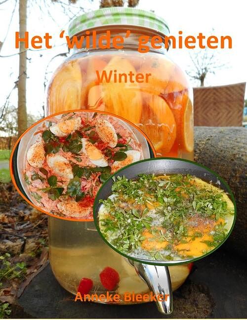 Foto van Het ´wilde´genieten - winter - anneke bleeker - paperback (9789083106182)