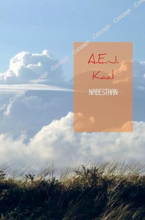 Foto van Nabestaan - a.e.j. kaal - paperback (9789402183696)