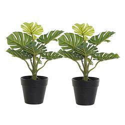 Foto van Kunstplant monstera in bloempot - 2x - groen - 20 x 30 cm - kunstplanten