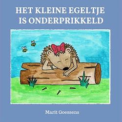 Foto van Het kleine egeltje is onderprikkeld