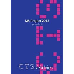 Foto van Ms project 2010-2013 gevorderd