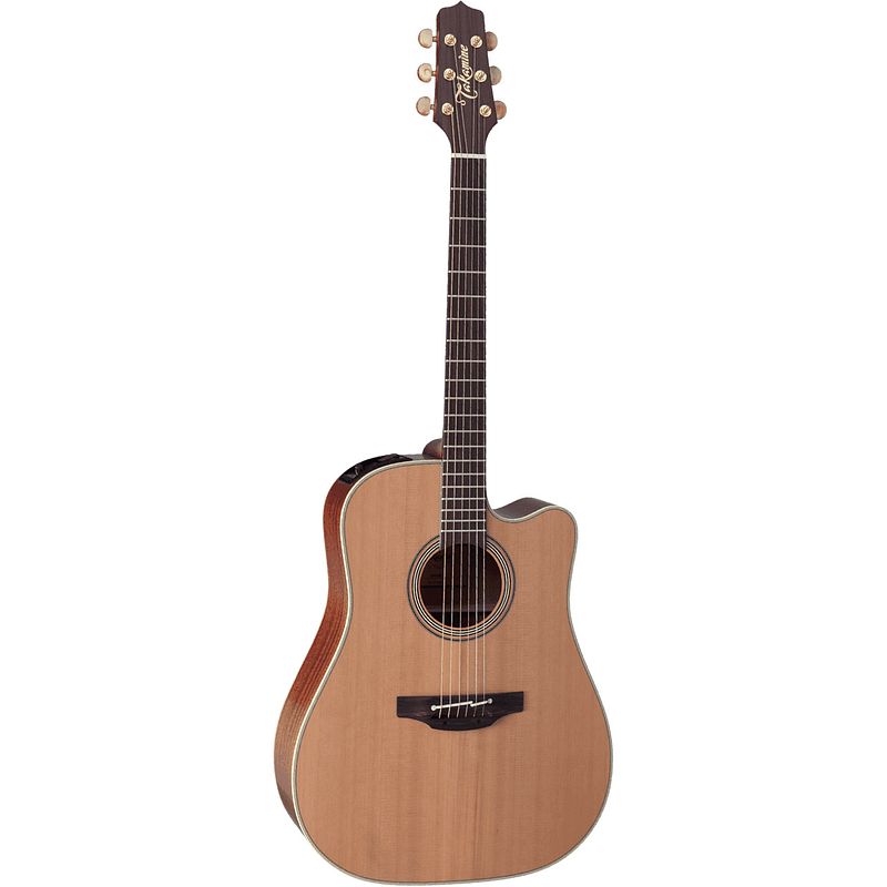 Foto van Takamine natural series en10c e/a westerngitaar met koffer