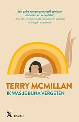 Foto van Ik was je bijna vergeten - terry mcmillan - ebook (9789401605762)