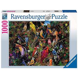 Foto van Ravensburger puzzel schitterende vogels