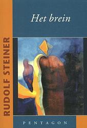 Foto van Het brein - rudolf steiner - paperback (9789490455514)