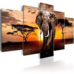 Foto van Artgeist elephant migration canvas schilderij 5-luik 100x50cm