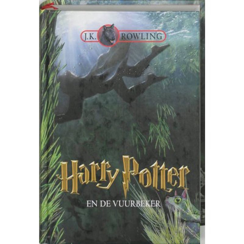 Foto van Harry potter en de vuurbeker - harry potter