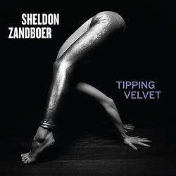 Foto van Tipping velvet - cd (0875531013986)