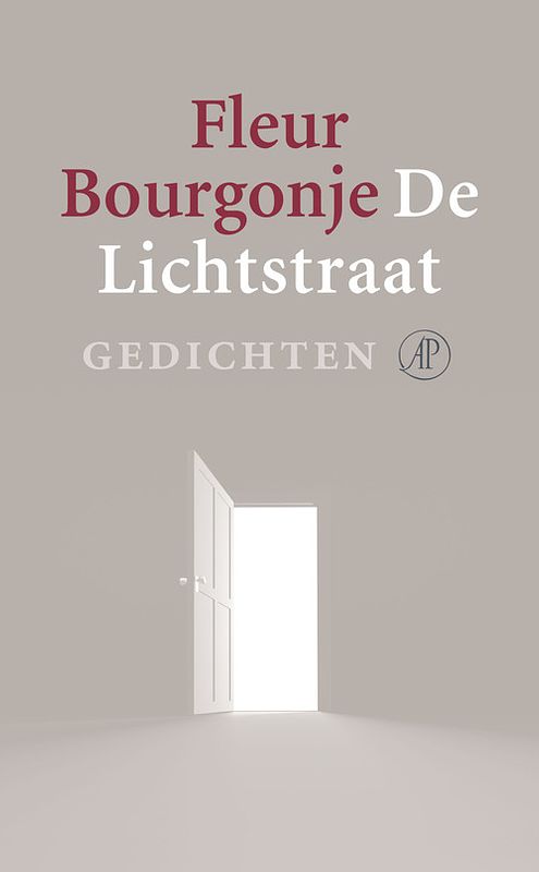 Foto van De lichtstraat - fleur bourgonje - ebook (9789029577823)