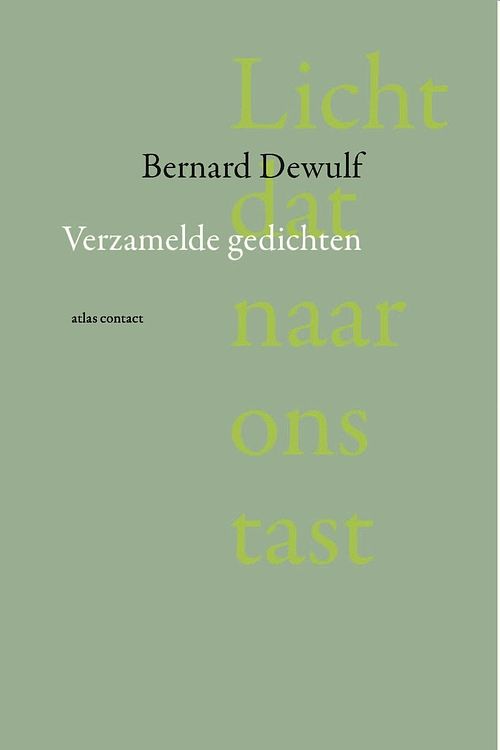 Foto van Licht dat naar ons tast - bernard dewulf - ebook