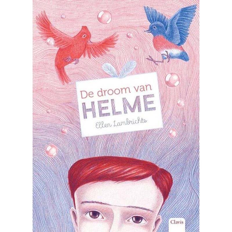 Foto van De droom van helme