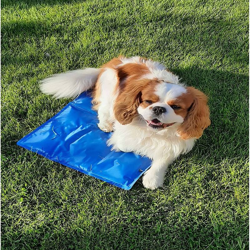 Foto van Verkoelende huisdieren gelmat/koelmat voor honden en katten m 40 x 50 cm - dierenmanden