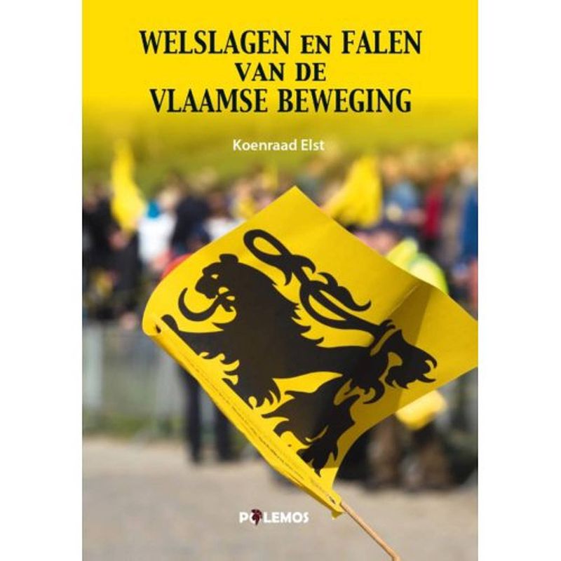 Foto van Welslagen en falen van de vlaamse beweging