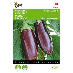 Foto van 2 stuks aubergine halflange violette