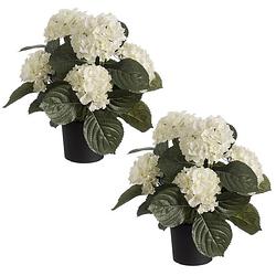 Foto van Set van 2x stuks witte hortensia hydrangea kunstplanten in zwarte kunststof pot 44 cm - kunstplanten