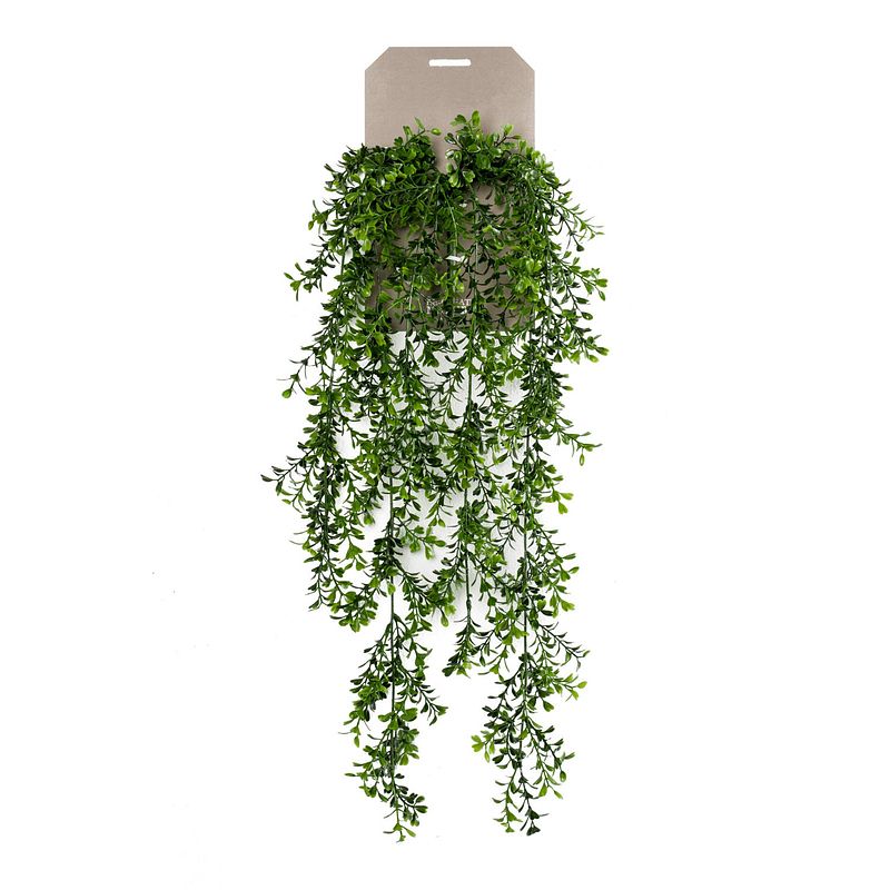 Foto van Buxus kunst hangplant 75cm