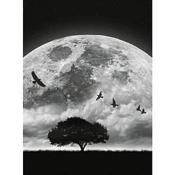 Foto van Wizard+genius moon and birds vlies fotobehang 192x260cm 4-banen