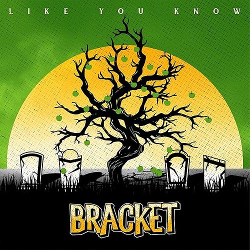 Foto van Like you know - cd (4250137289809)