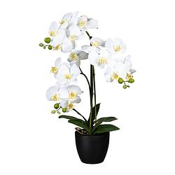 Foto van Kopu® kunstbloem orchidee 65 cm wit met zwarte pot - phalenopsis