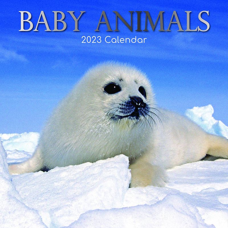 Foto van Baby animals kalender 2023