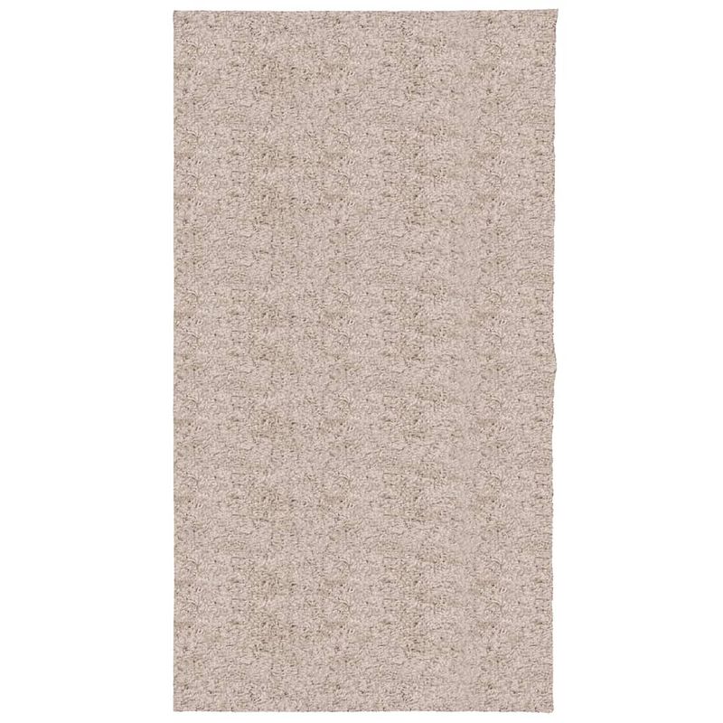 Foto van Vidaxl vloerkleed pamplona shaggy hoogpolig modern 80x150 cm beige