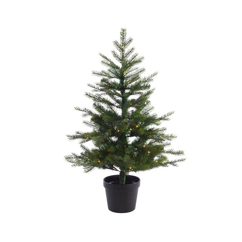 Foto van Everlands - mini kerstboom tafelboom 120 cm grandis pot tree