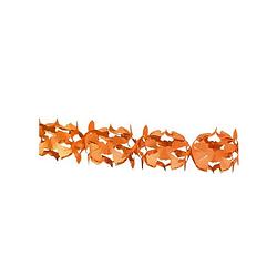 Foto van 3x stuks oranje koningsdag feestslingers van 6 meter - feestslingers