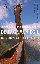 Foto van De saga van egil, de zoon van kale grim - snorri sturluson - ebook (9789025305963)