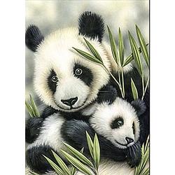 Foto van Diamond painting pakket panda's - volwassenen - 30x40 cm - seos shop ®