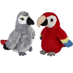 Foto van Papegaaien serie pluche knuffels 2x stuks -rode en grijze van 15 cm - vogel knuffels