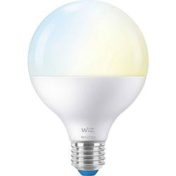 Foto van Wiz connected bulb globe 120 wit variabel e27 75w