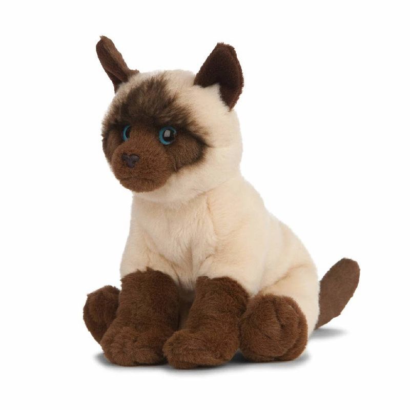 Foto van Pluche siamese kat/poes knuffel 20 cm - katten/poezen artikelen - huisdieren knuffels - speelgoed voor kinderen