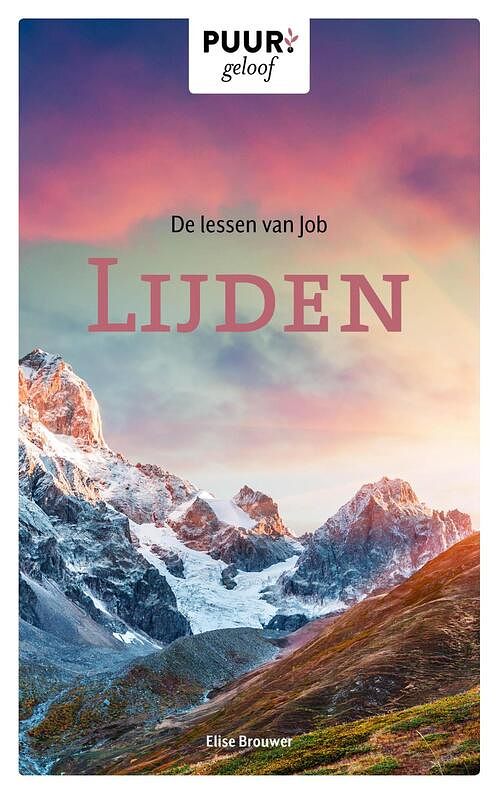 Foto van De lessen van job - elise brouwer - ebook (9789043533256)