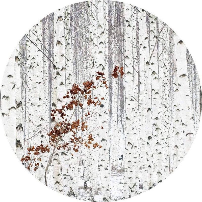 Foto van Wizard+genius white birch forest vlies fotobehang 140x140cm rond