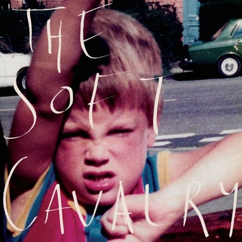 Foto van The soft cavalry - lp (5400863011338)