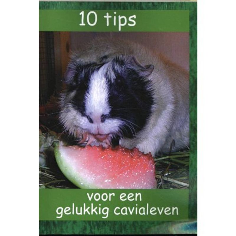 Foto van 10 tips voor een gelukkig cavialeven